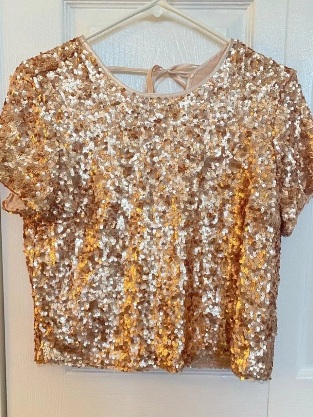 Abercrombie & Fitch Rose Gold Sequin Top